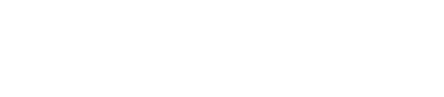 Logo INECO blank